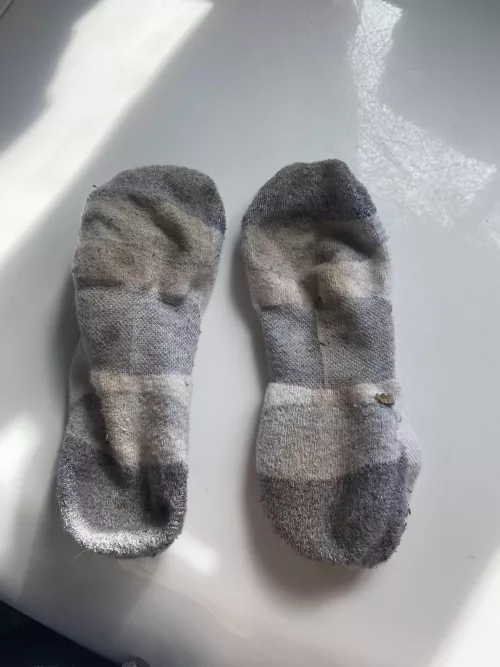 Sweaty smelly gardening socks 🥰