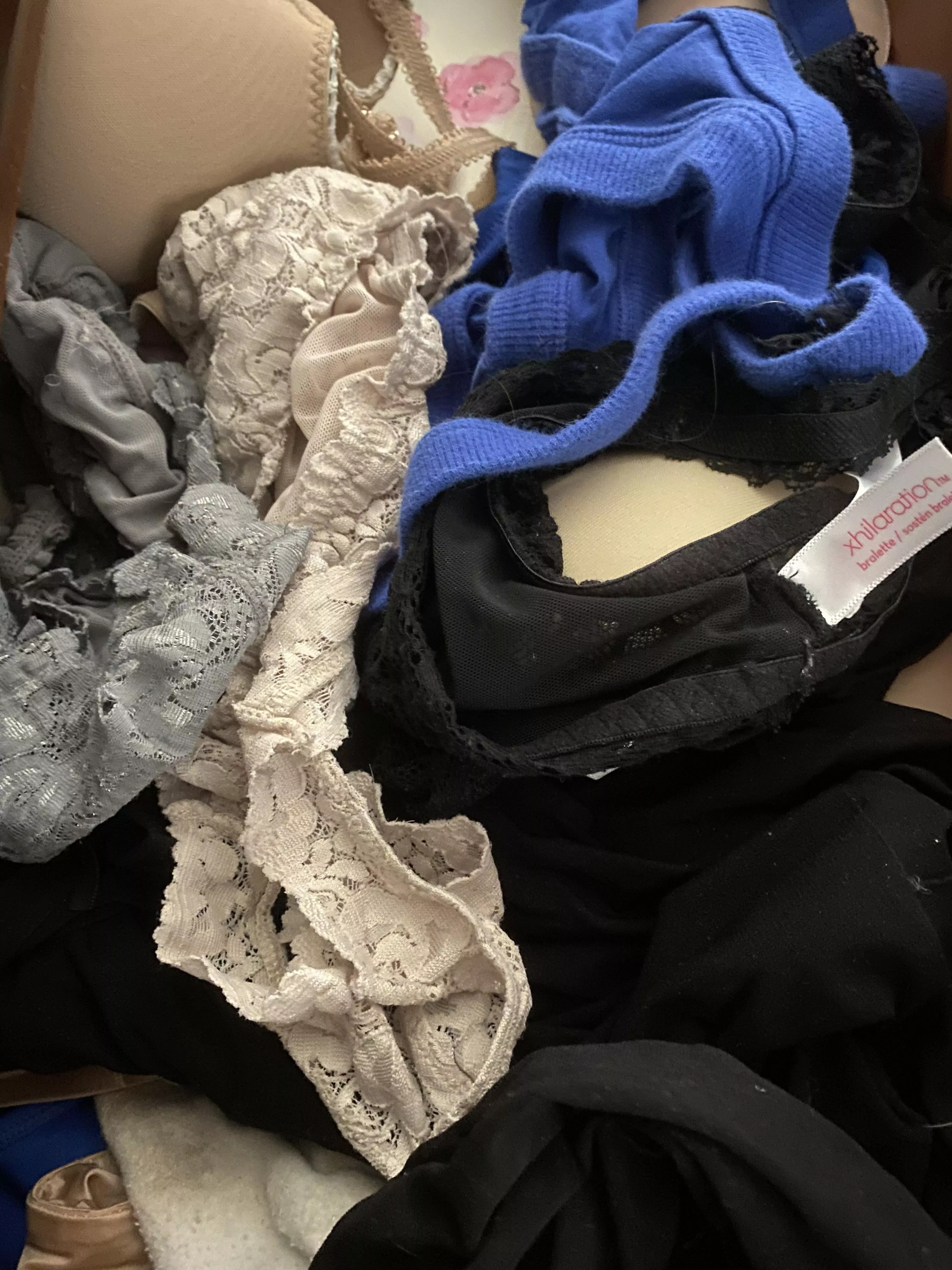 Swim Team Exchange Student PANTY Drawer. Good Swap!!