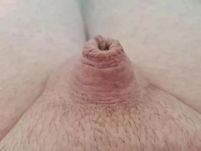 Tell me what you all think.