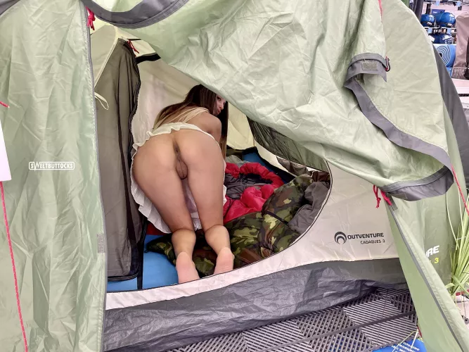 Tent for sale for hiking in the forest.