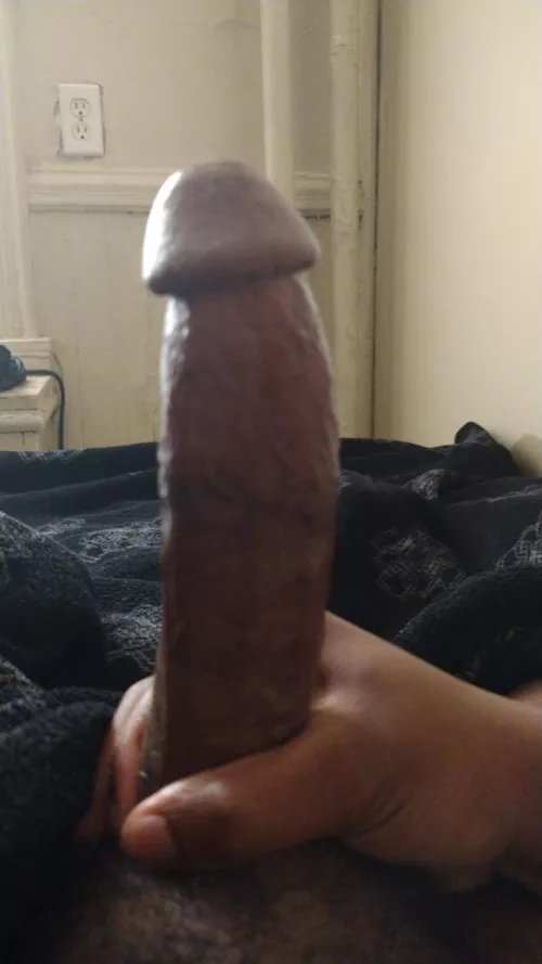 The Black Cock Y'all Look For On Your Timeline 🤎🖤