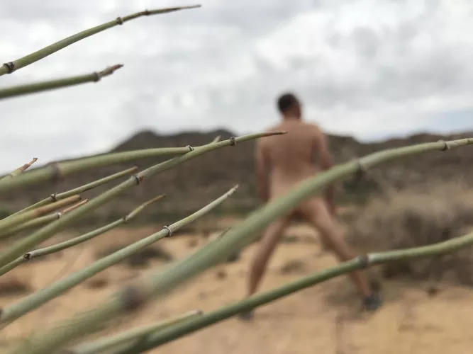 The Captivating Desert