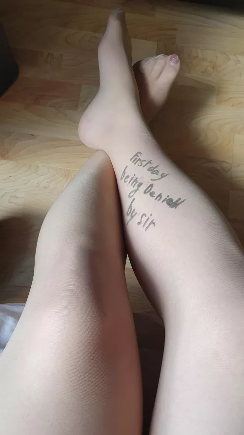 the deny start again... how much will I crave for a release in a few days ?