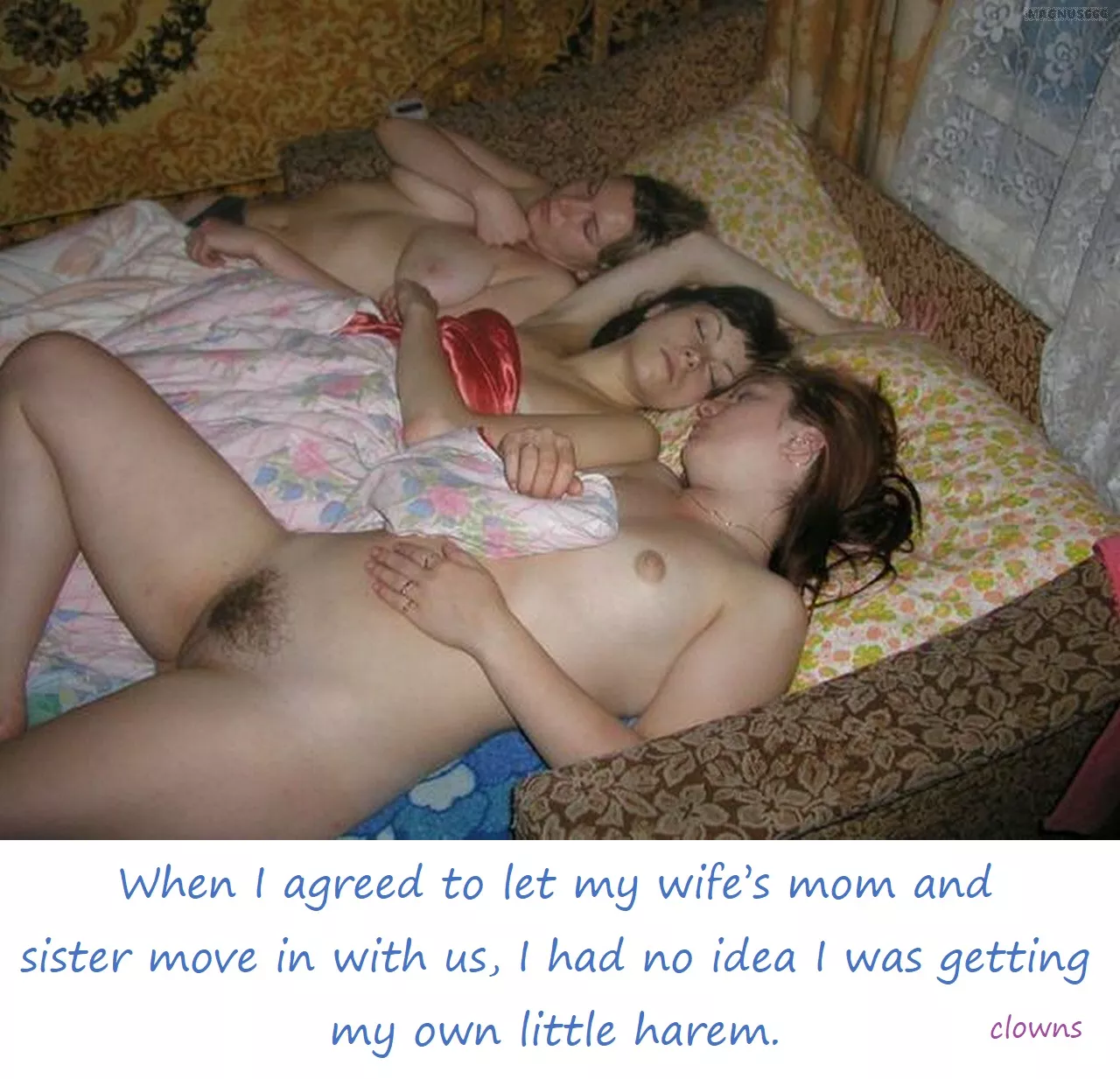 The In-laws