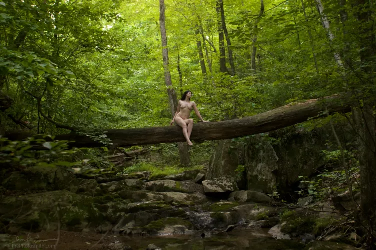 the unobserved world | Spiro Scindo by the Photosmith