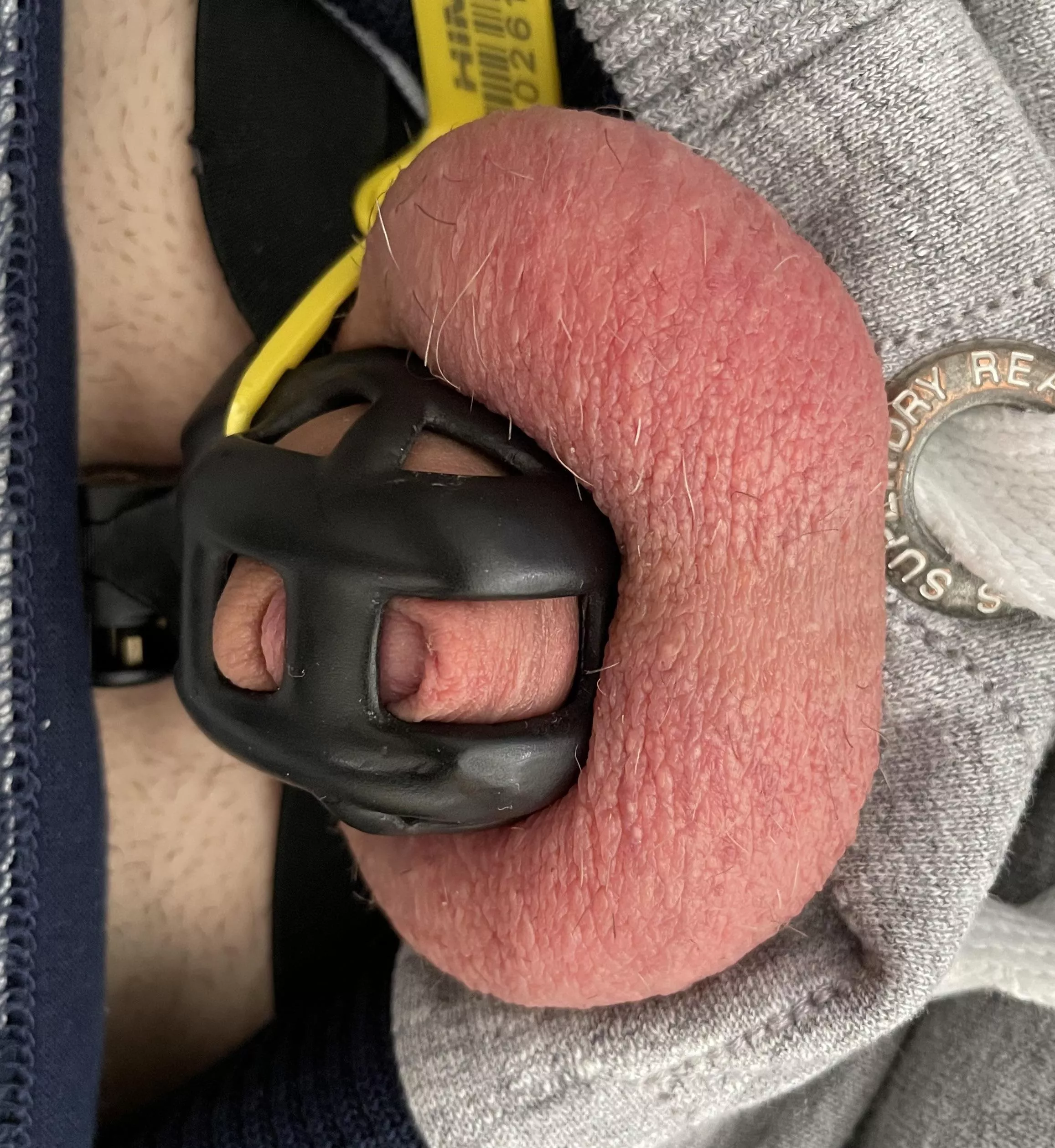 There is nothing better then being locked 24/7 🥰
