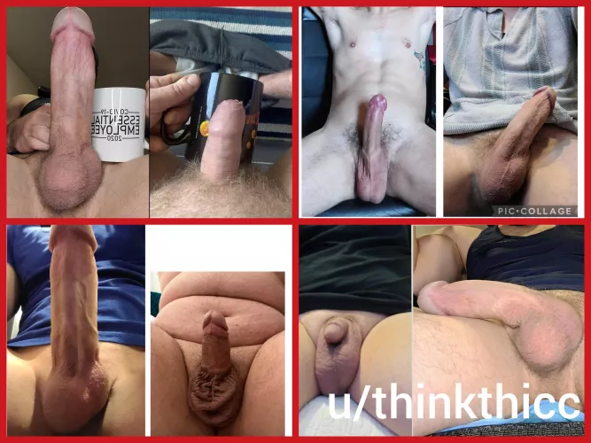 These betas tried to size up to me. Now they are all serve a new Master