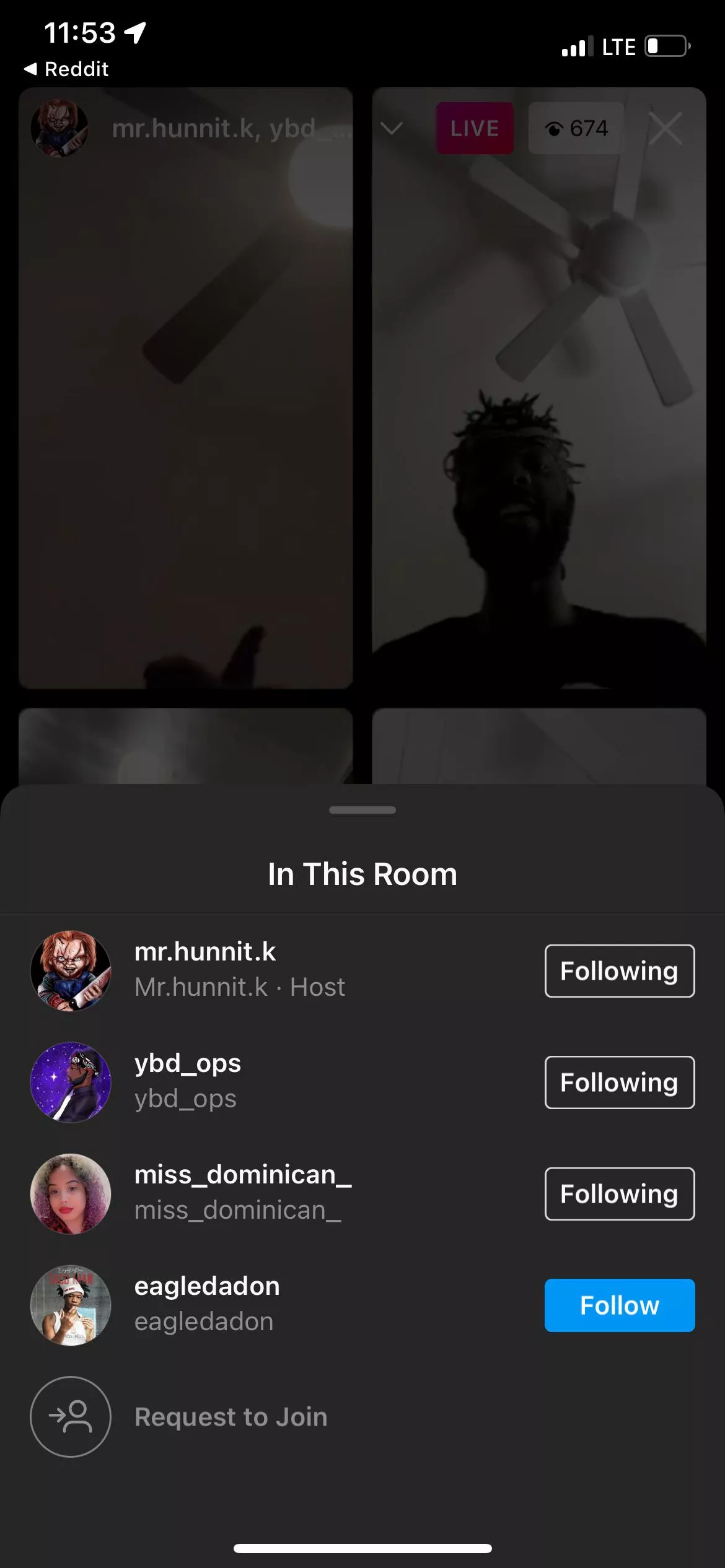 They are back