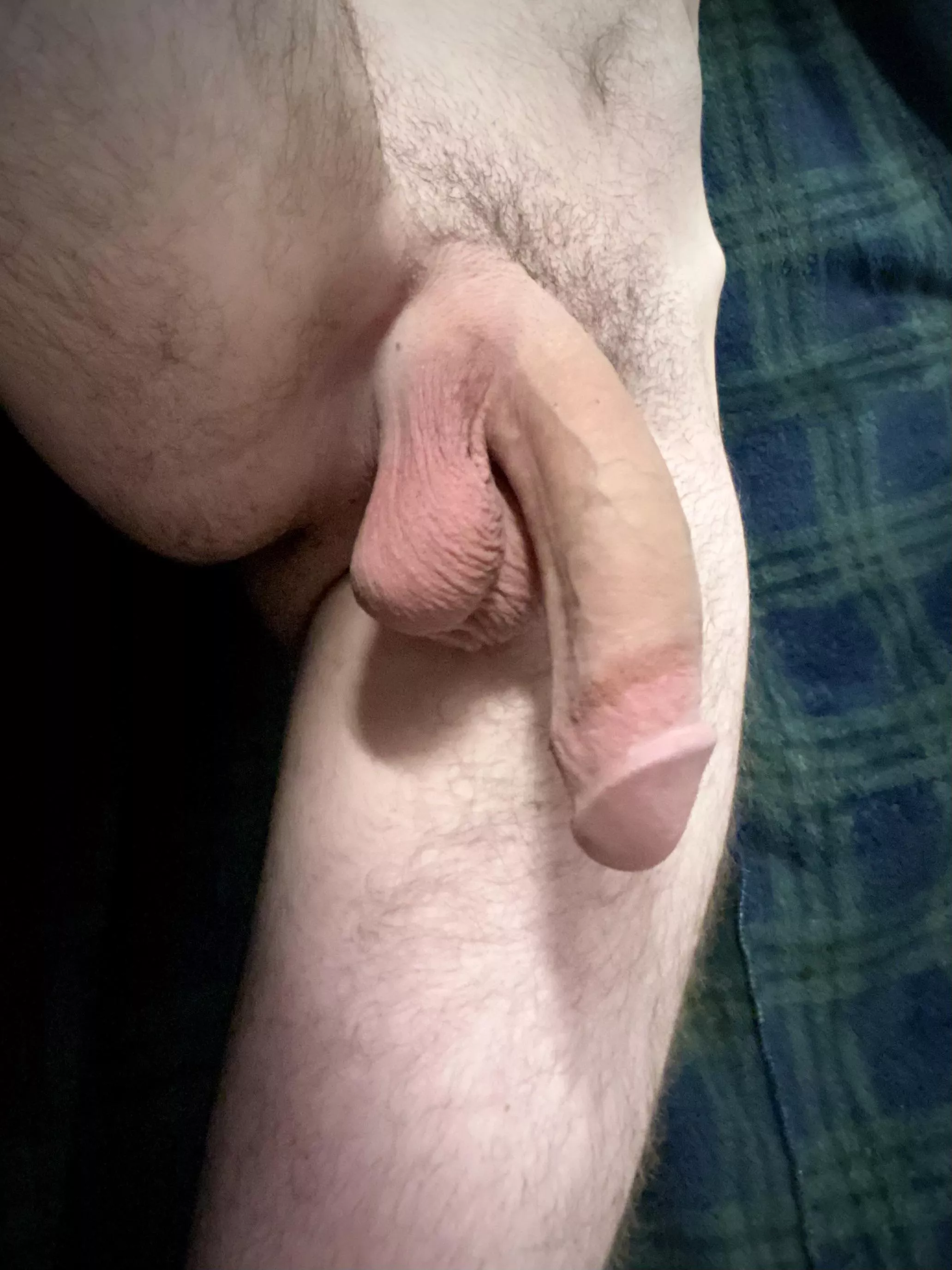 Think it will fit?