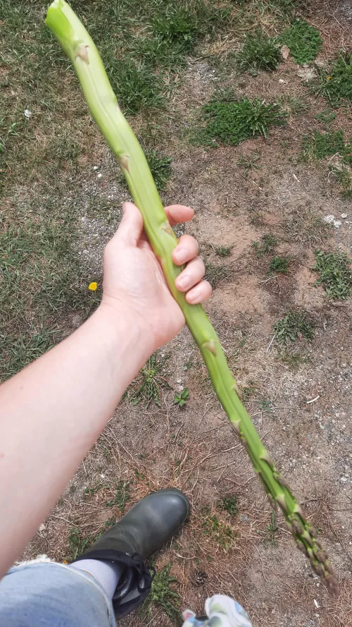 Think this will work?