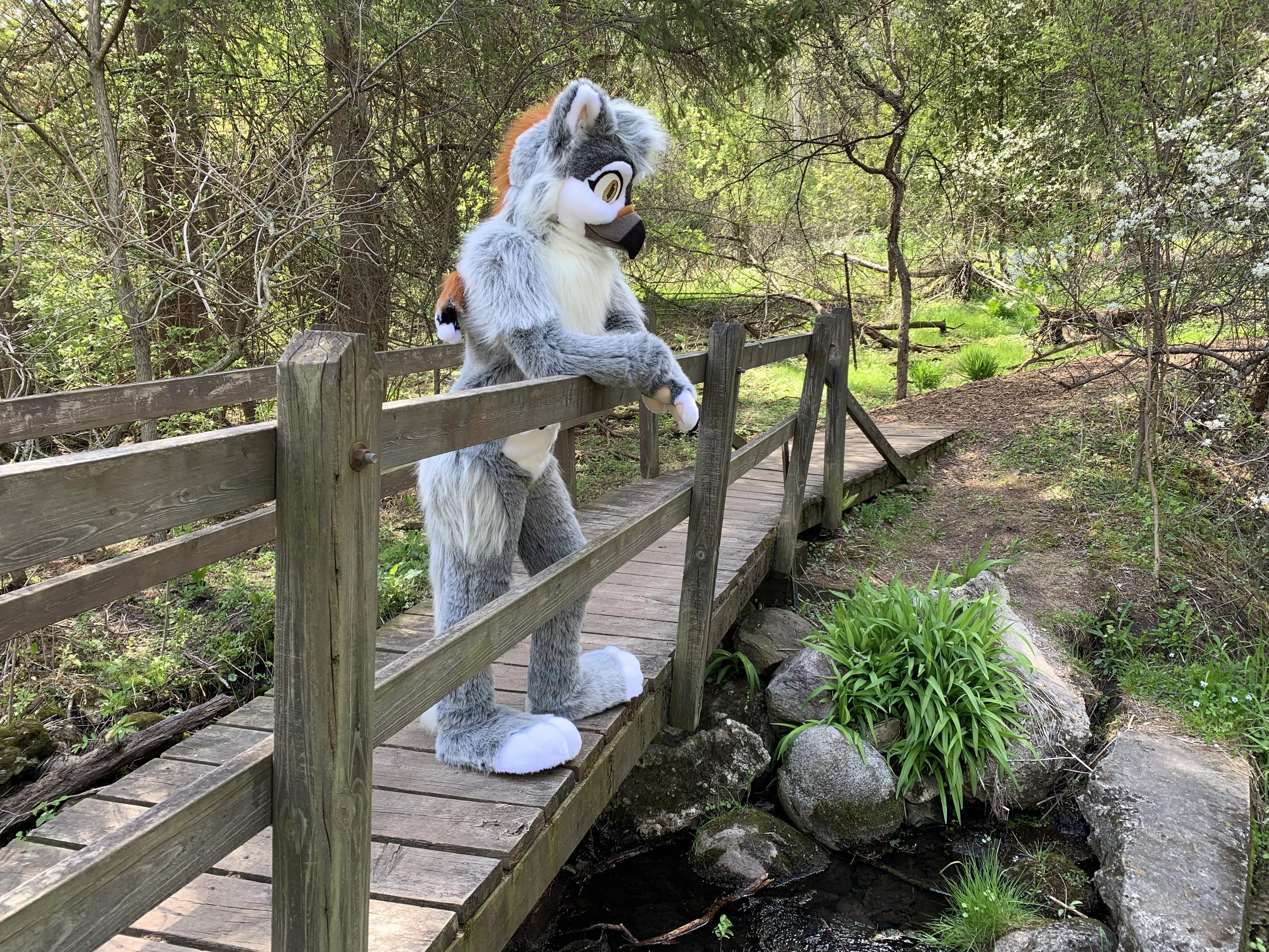 Thinking about spring today… hopefully next month it’ll get a little warmer and greener!