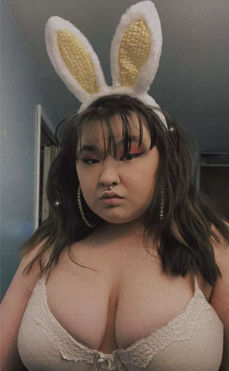 this bunny is excited for easter 😳🐰💋💛