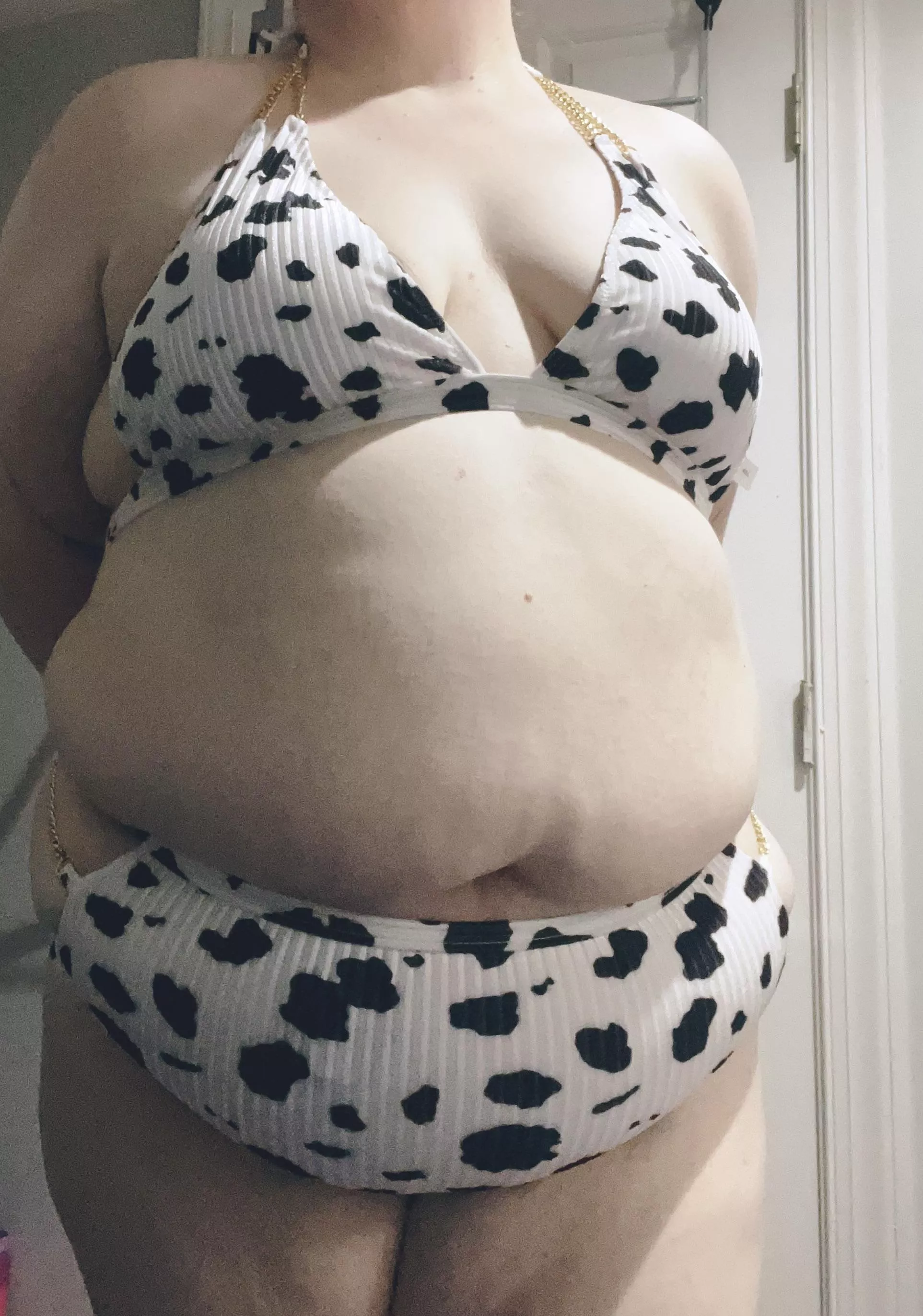 This fat little cow needs more feed 🐮