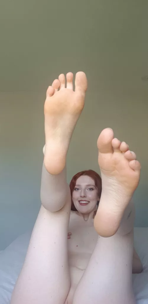 This little piggy went to market [f] 24