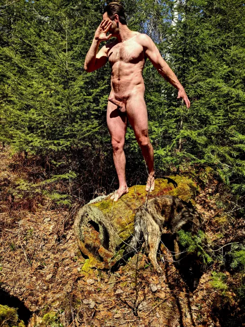 This looks like a good place to pitch a tent 🏕 (M)