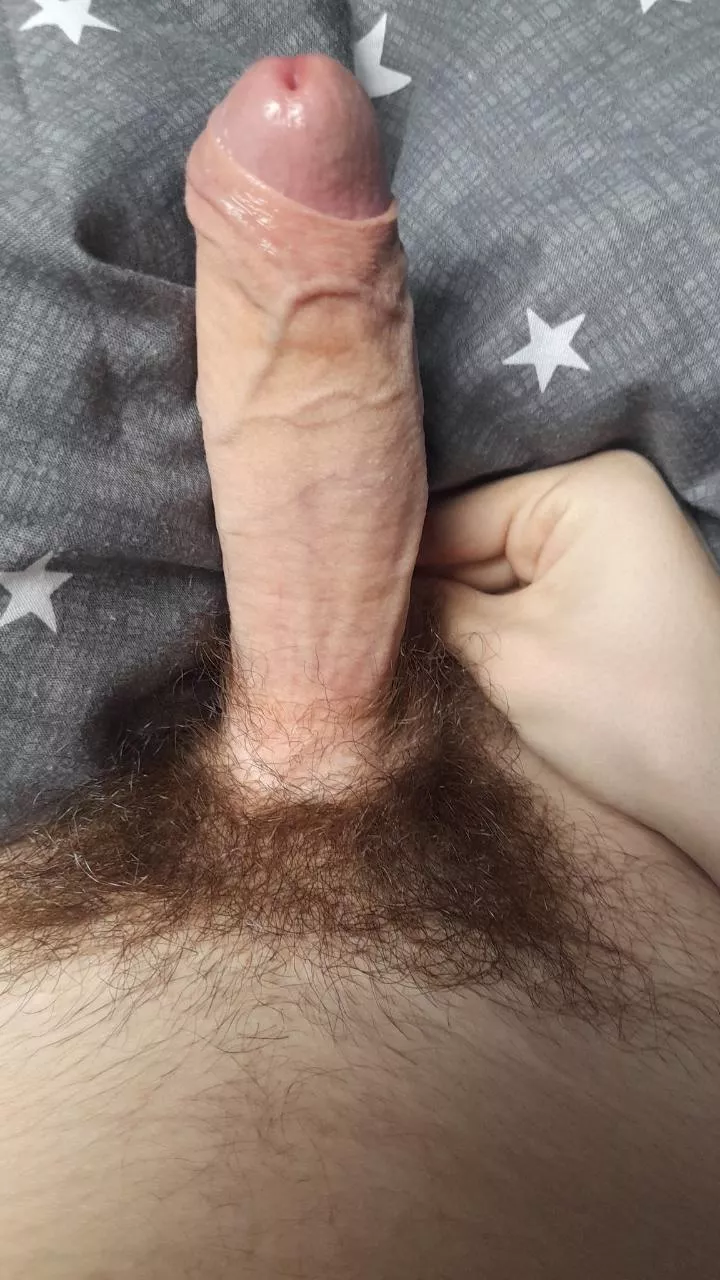 thoughts?