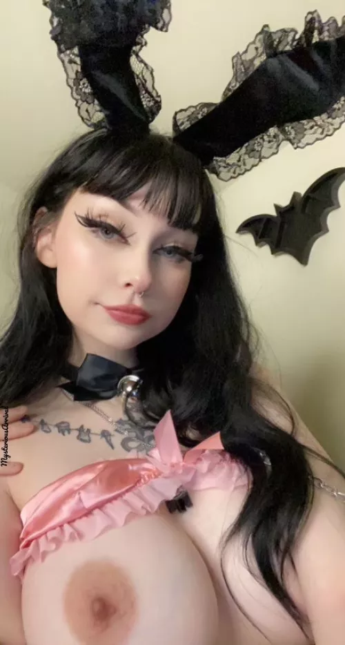 thoughts on bunny ears?