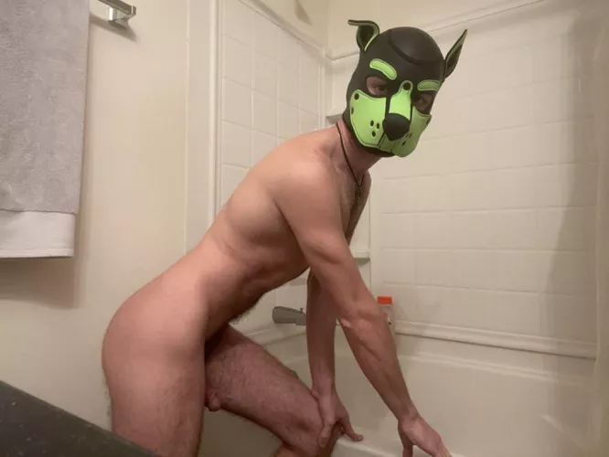 Time to clean this dirty puppy