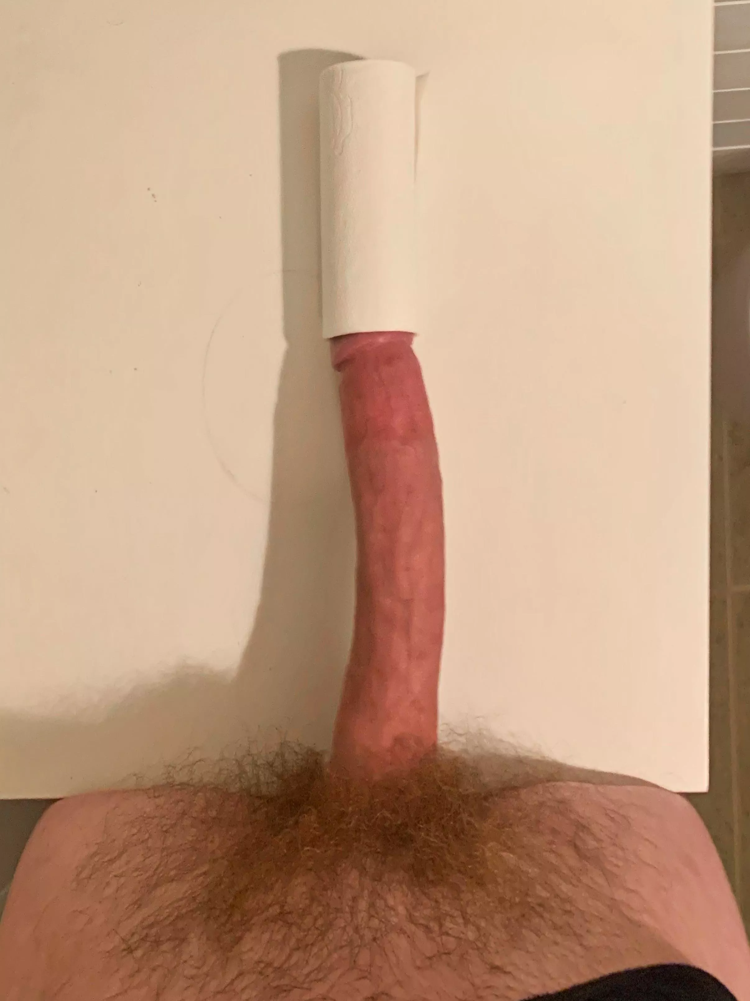 tp roll