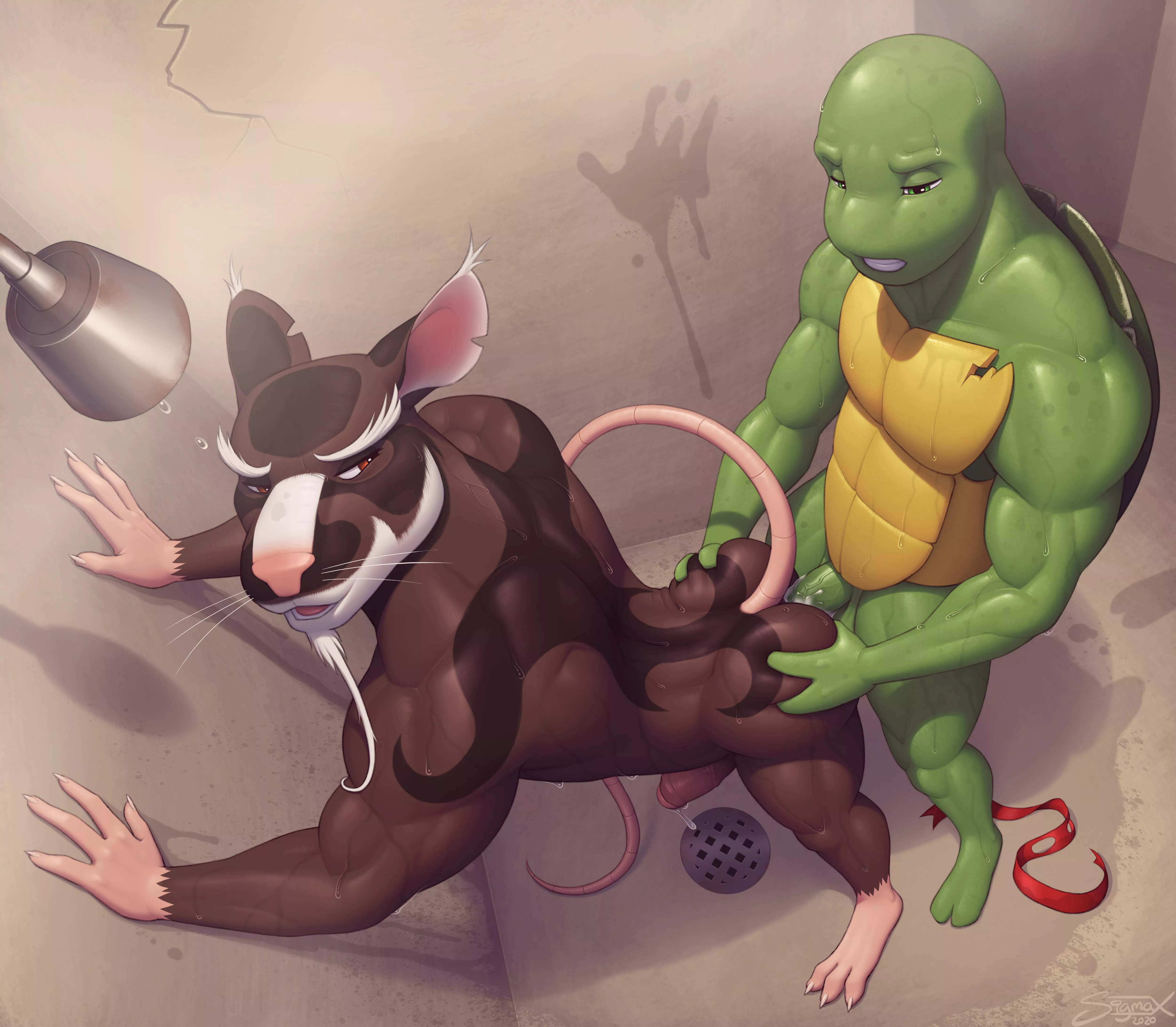 Training (SigmaX)