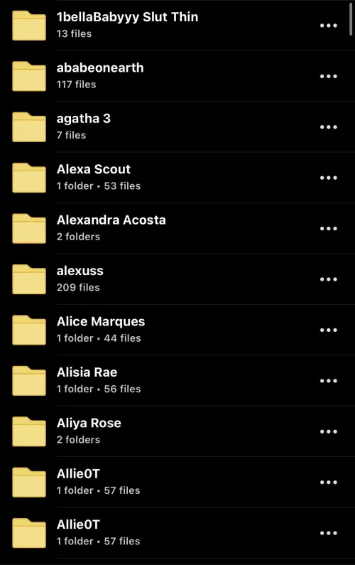 TRANS FOLDER WITH OVER 370 TGIRLS FOR ONLY $10 DM FOR CASHAPP ❗️