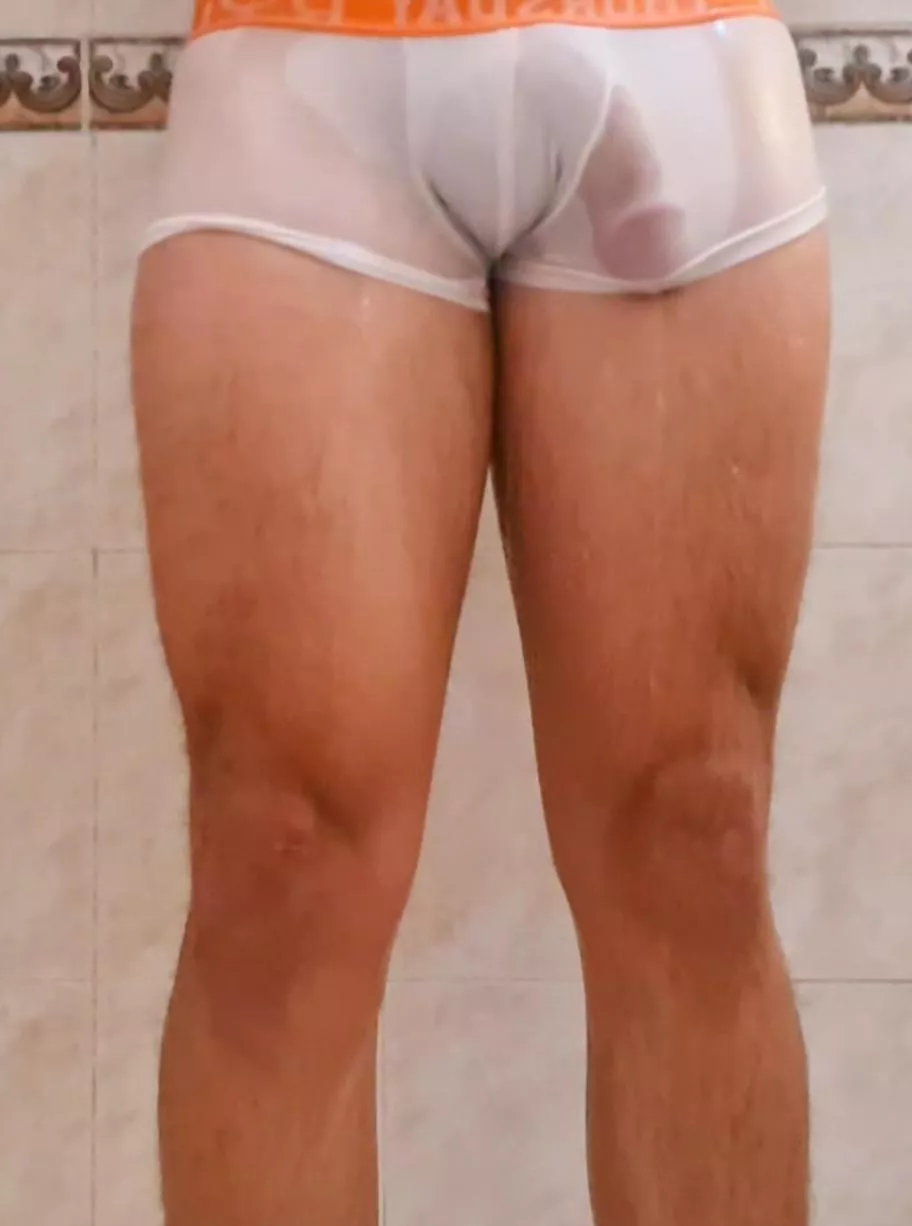transparent