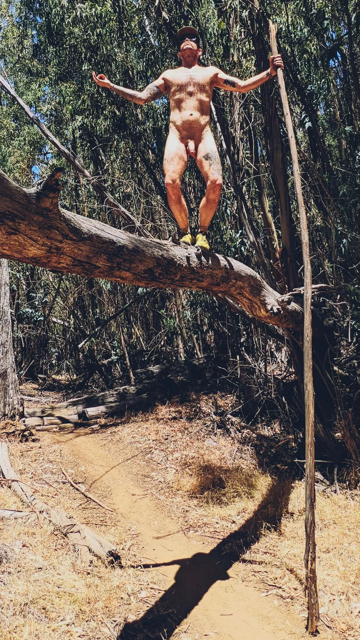 tree chillin
