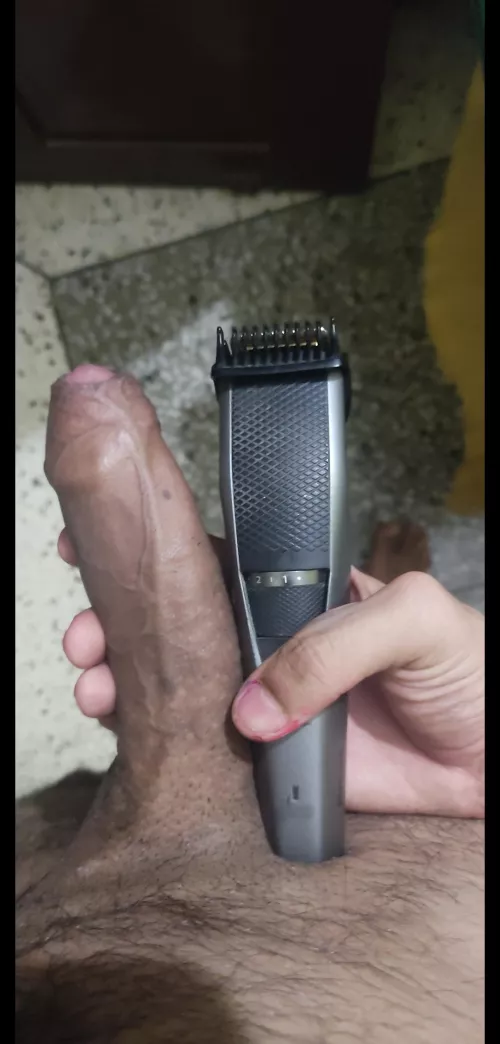 Trimmer wins ig ?🥺