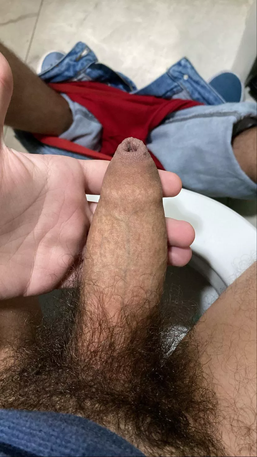 uncut & bushy