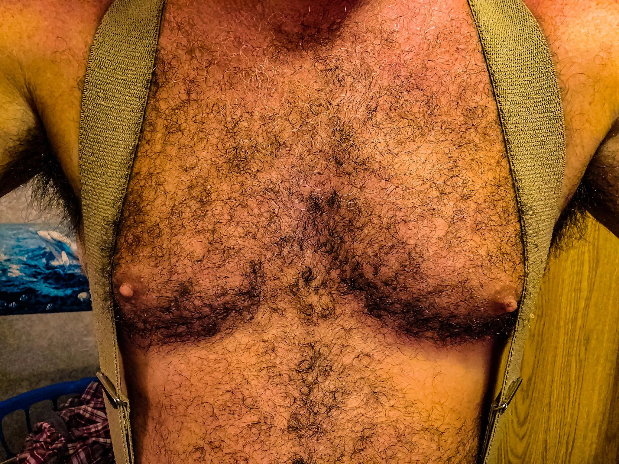 Underbrush