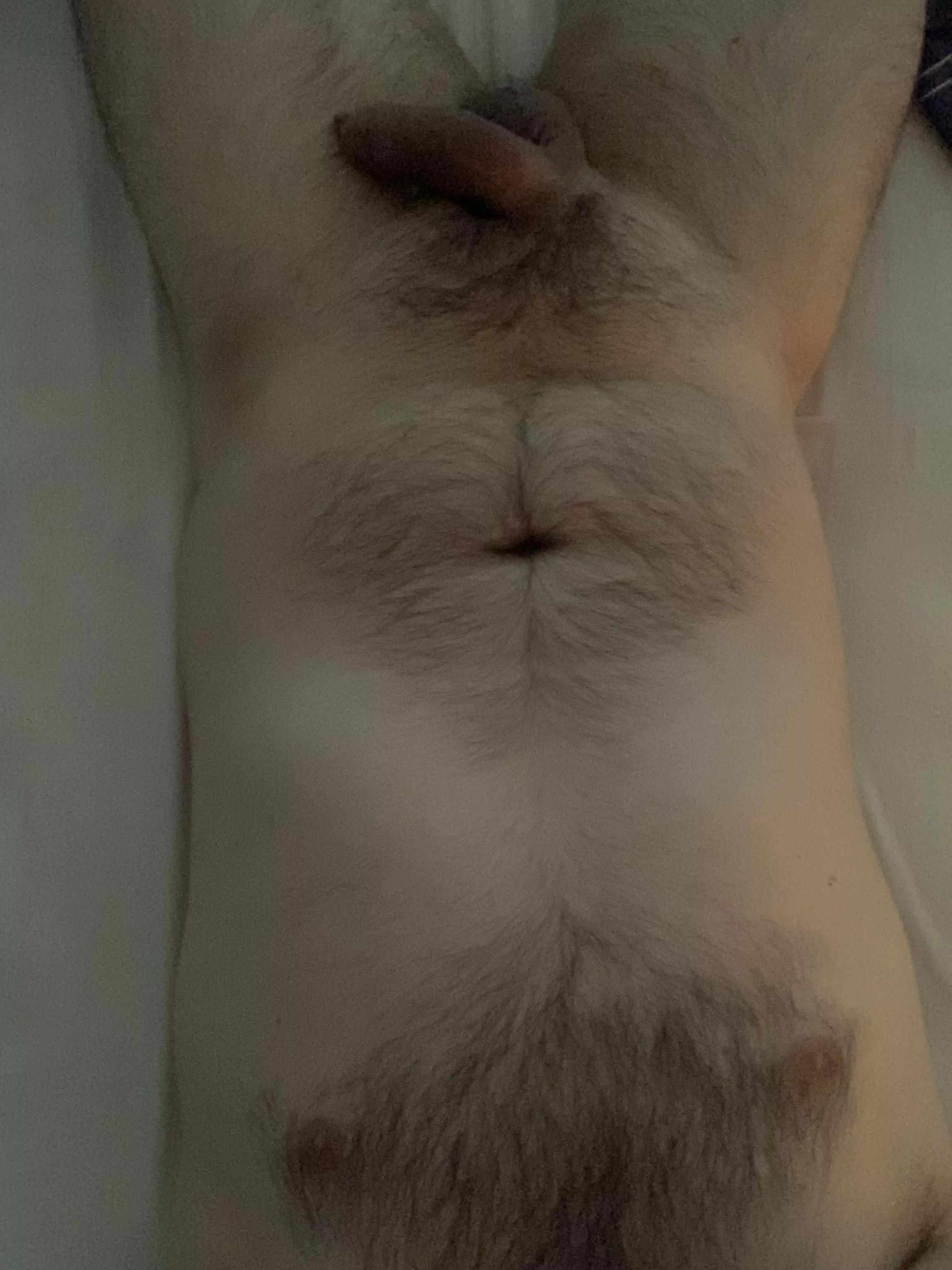 Very lazy Sunday