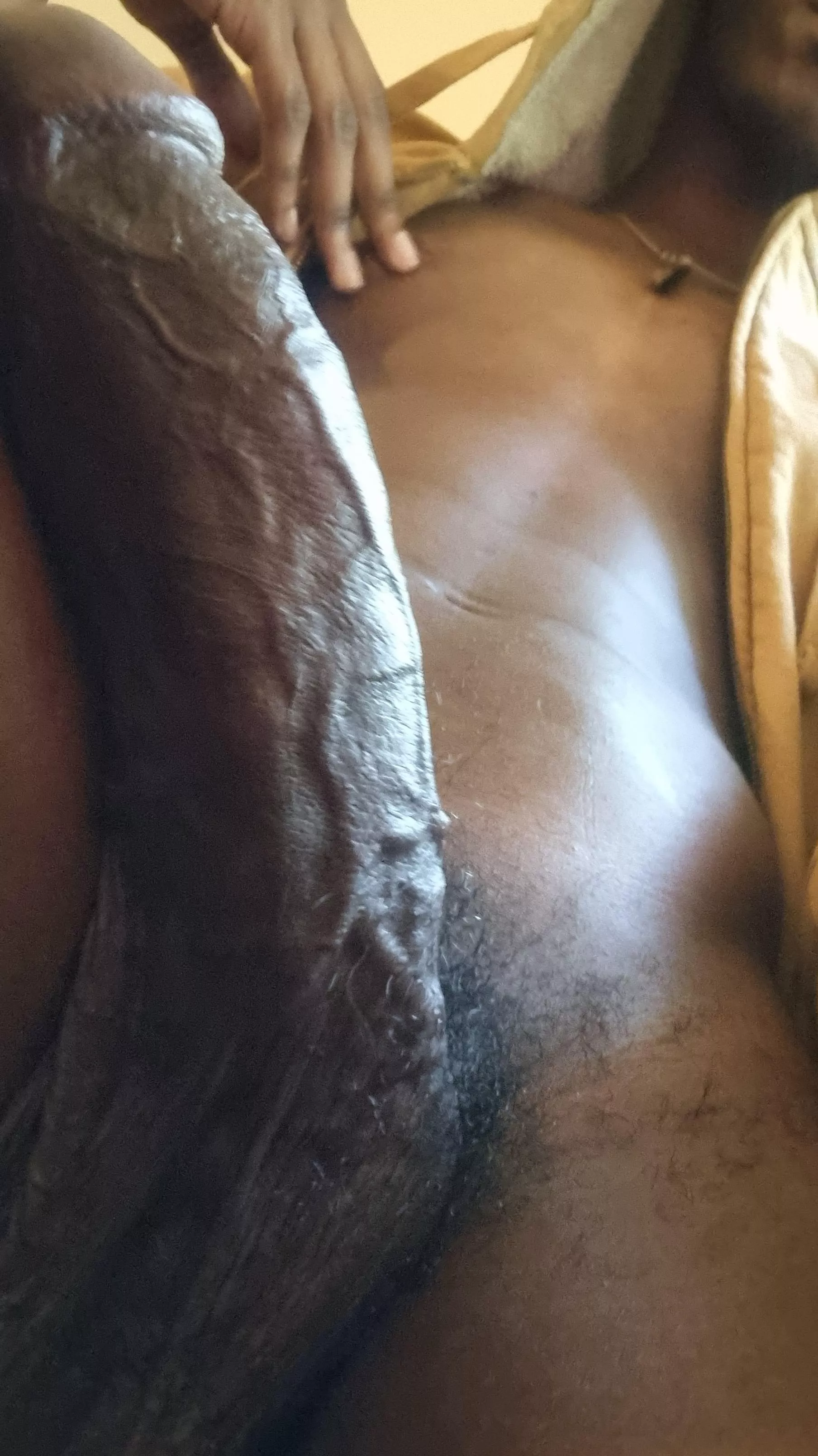 View From Below