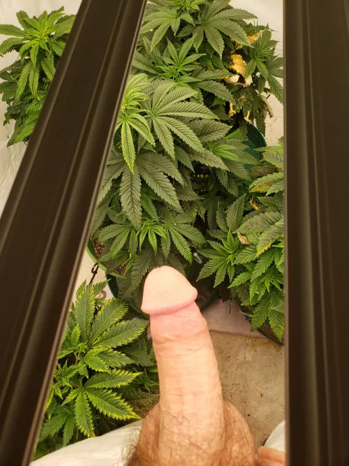 wanna smoke? (36) (m)