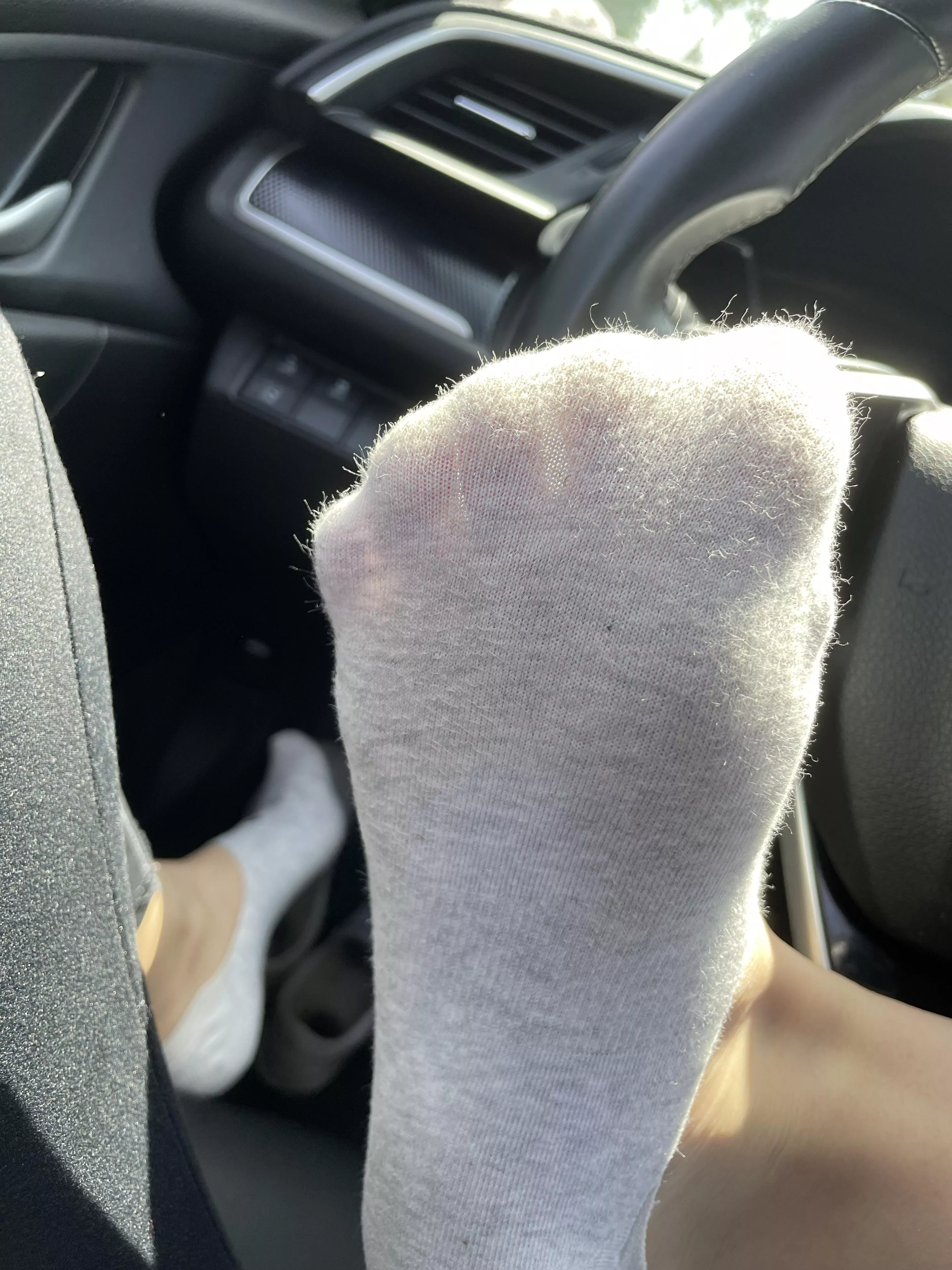 wanna sniff?