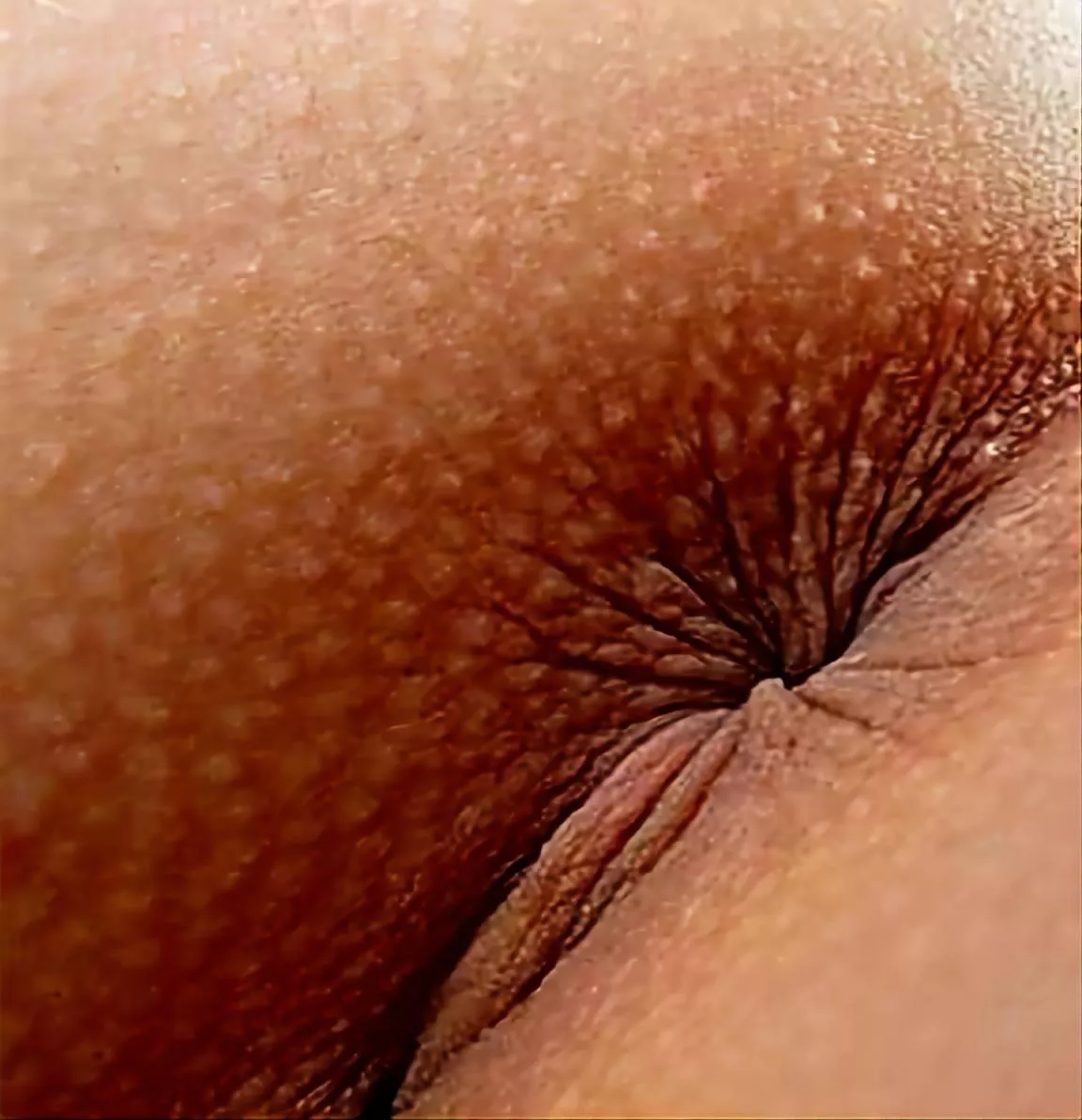 wanna taste