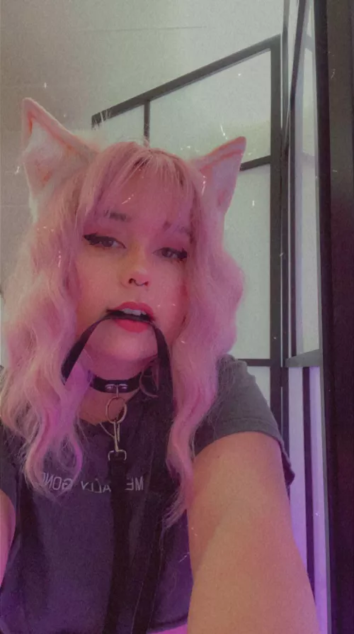 Want to pat me all night? 🥰