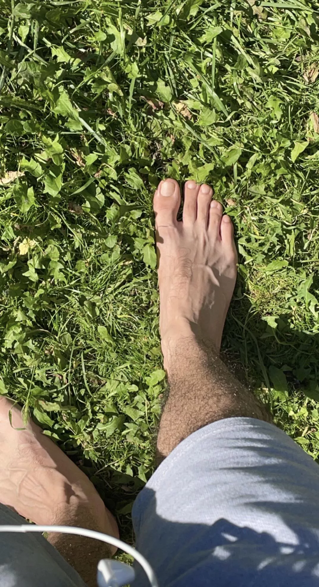 Warm grass feels great 🤩