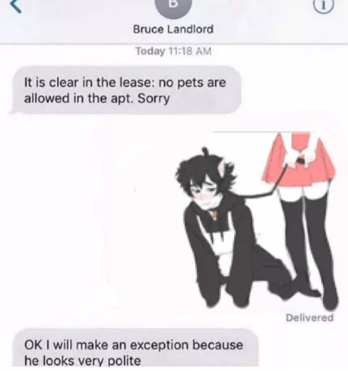 Was texting my landlord