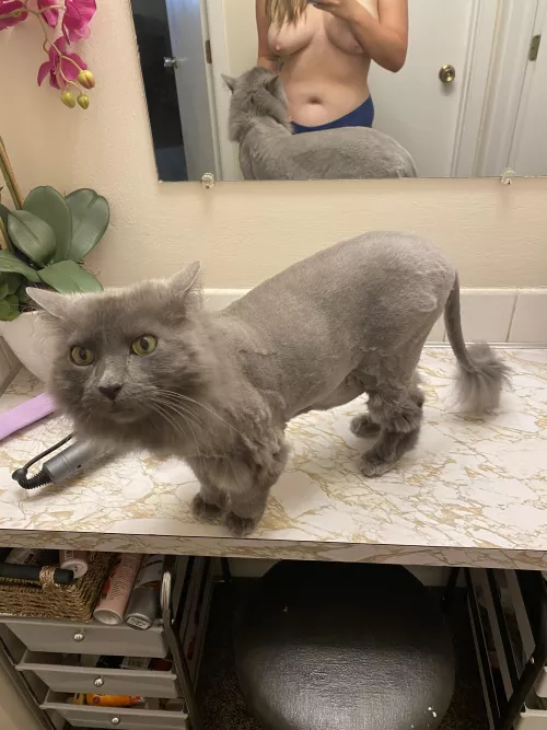 We lvoe a good photo bomb ±???