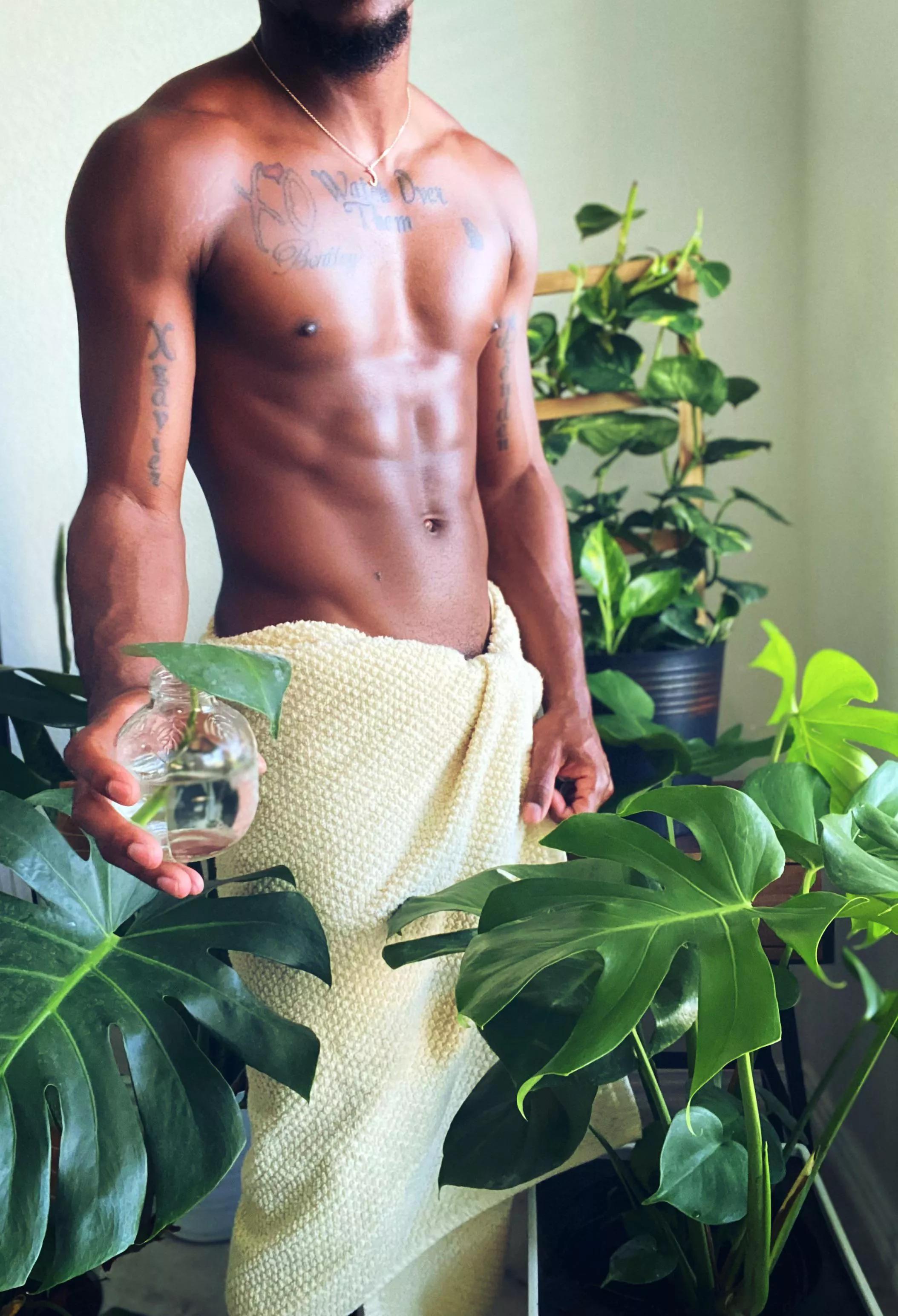 Welcome to my jungle