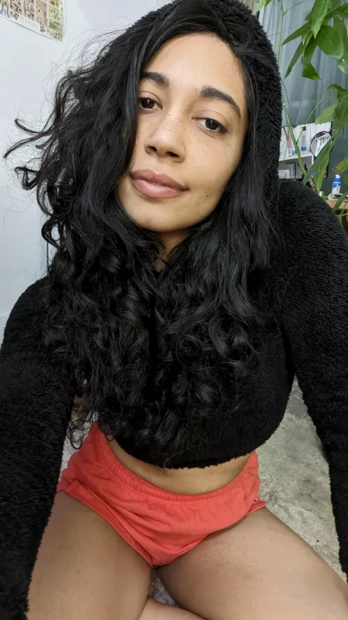 West African x German