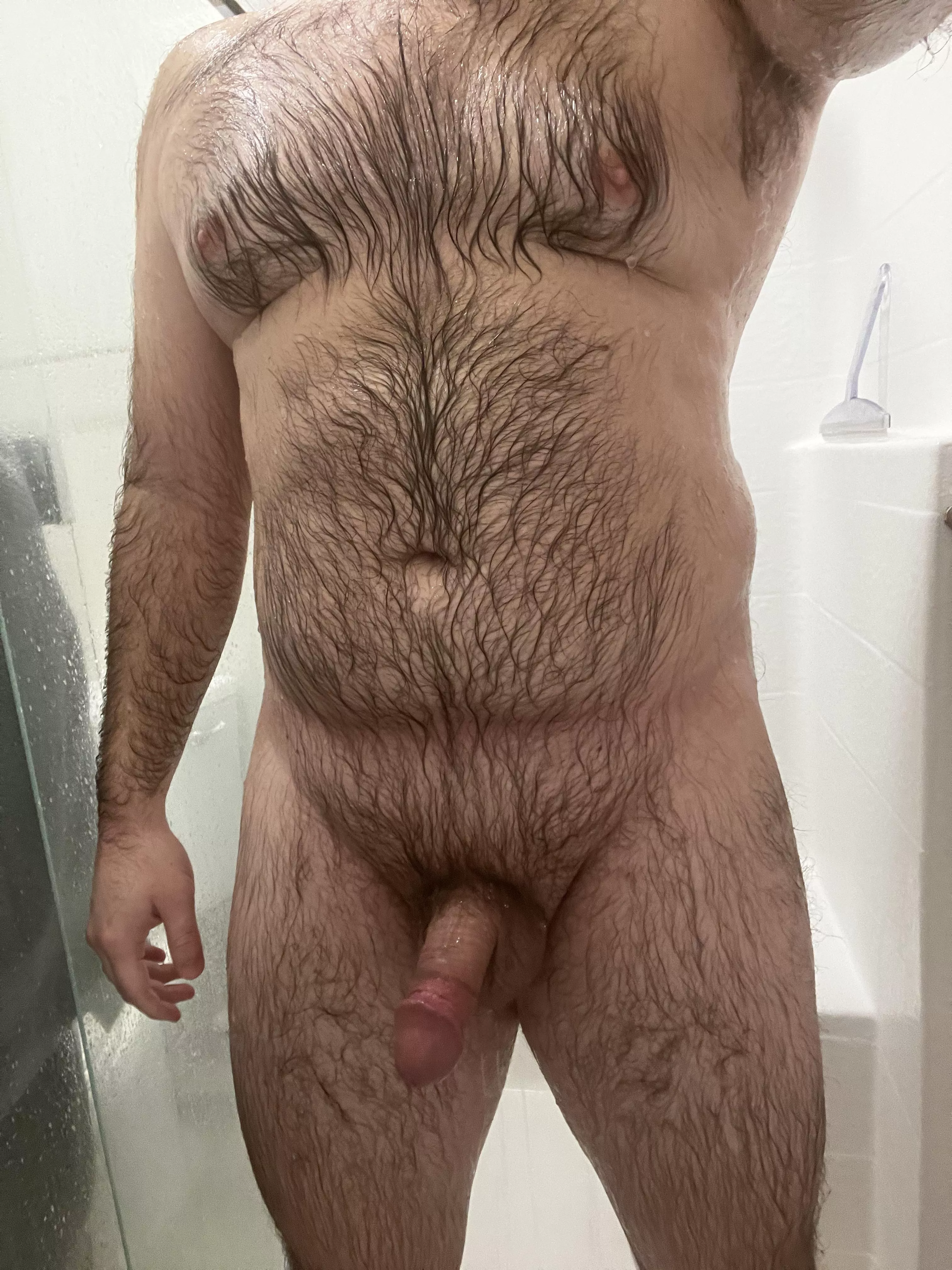 Wet 🐻
