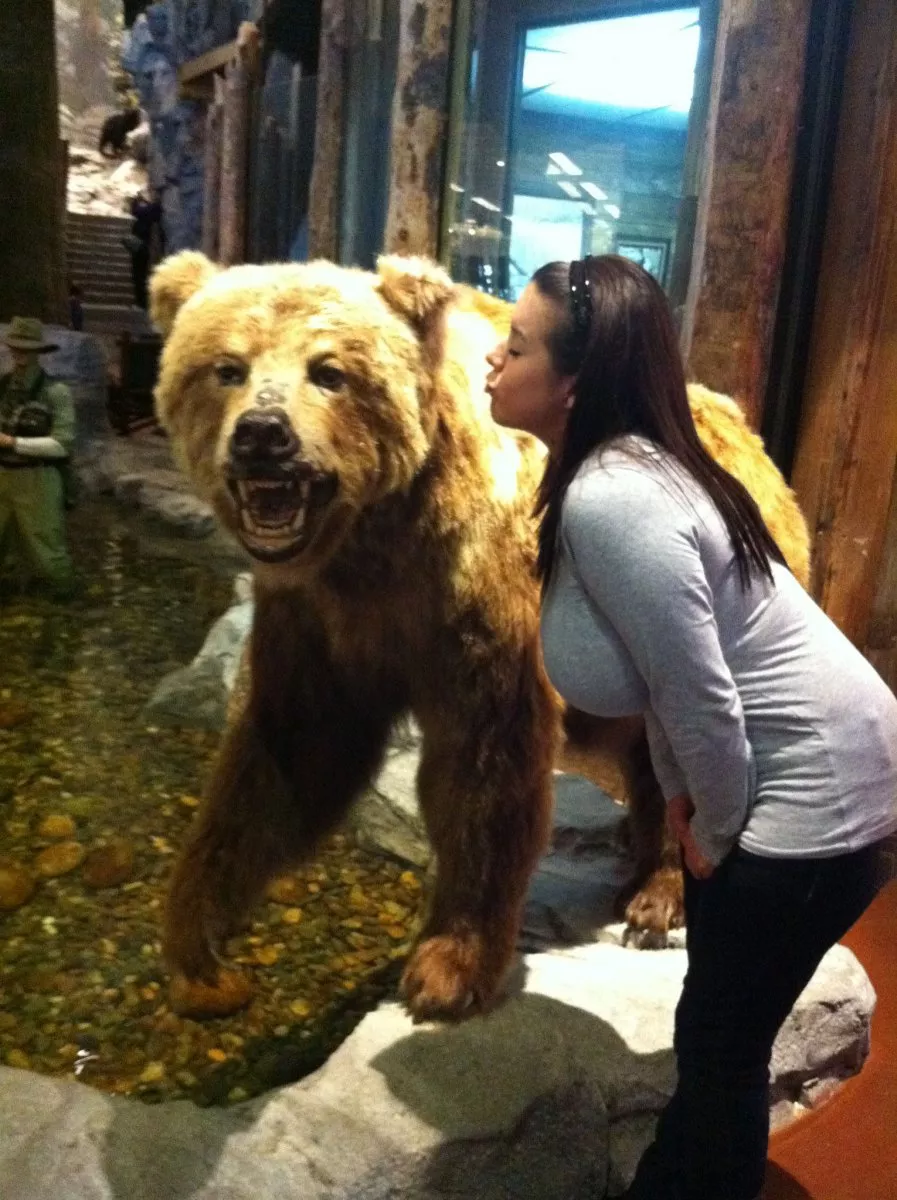 what bear?