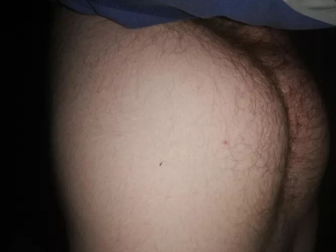 what do yall think of my fat ginger hairy ass?