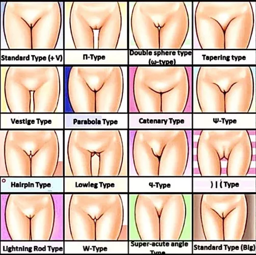 What do you like/What do you have?