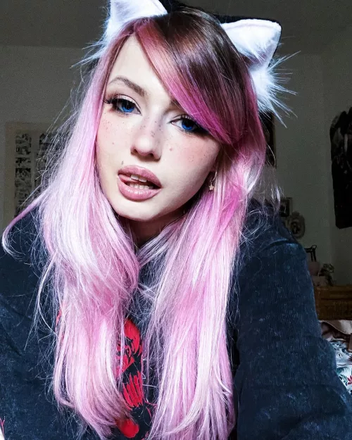 What is your favourite cat?