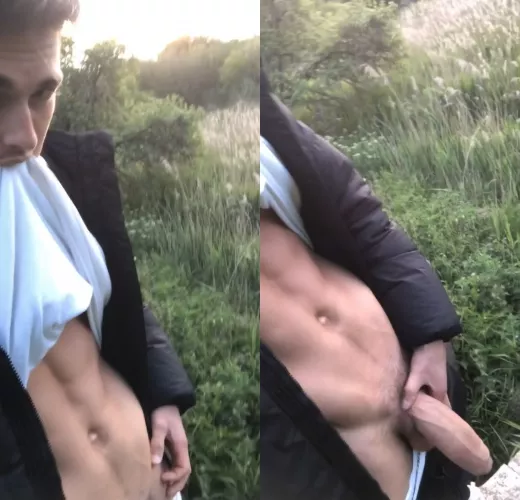 What would you do if you saw this on your walk in the forest?