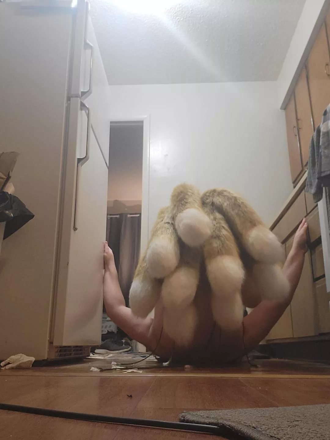 What would you like to see this 9 tailed sissy do?