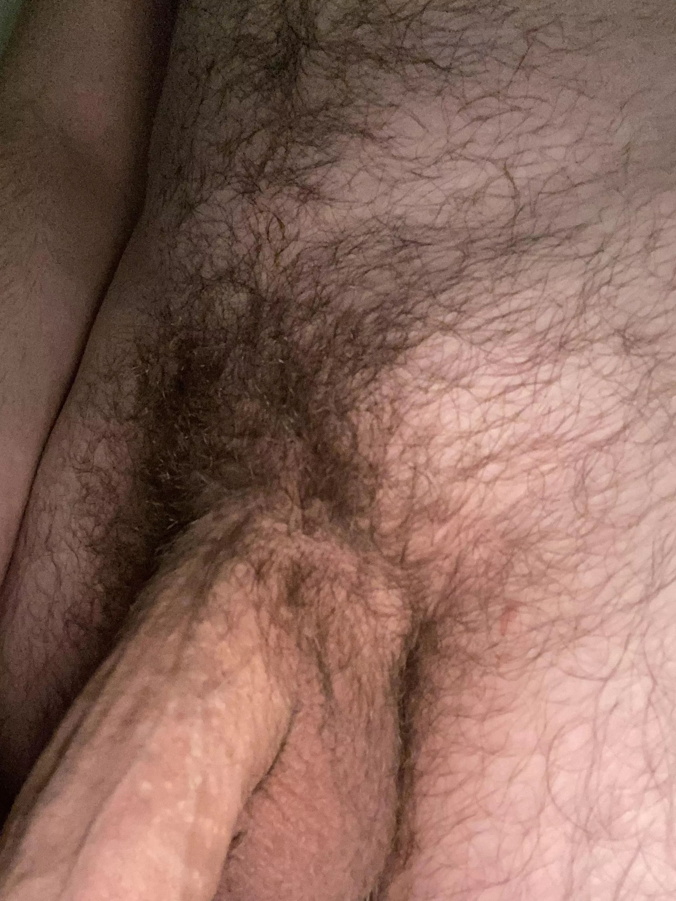 Whatcha think?