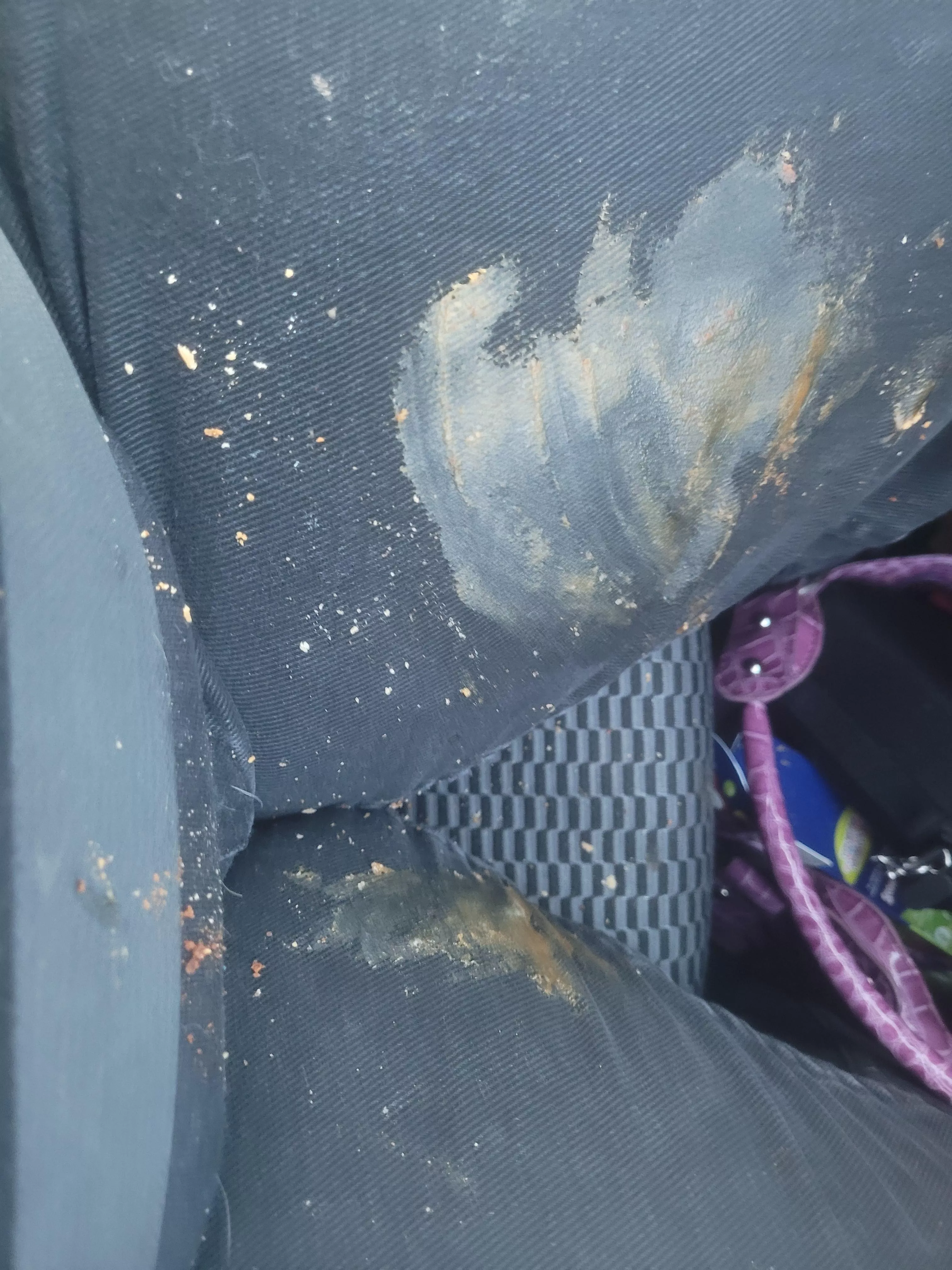 when you can't even get home safely with a holiday pumpkin pie **this pie was burnt and intended for Easter dessert but it fell off the dash into my lap** when you can't even get home safely with a holiday pumpkin pie **this pie was burnt and intended for Easter dessert but it fell off the dash into my lap**